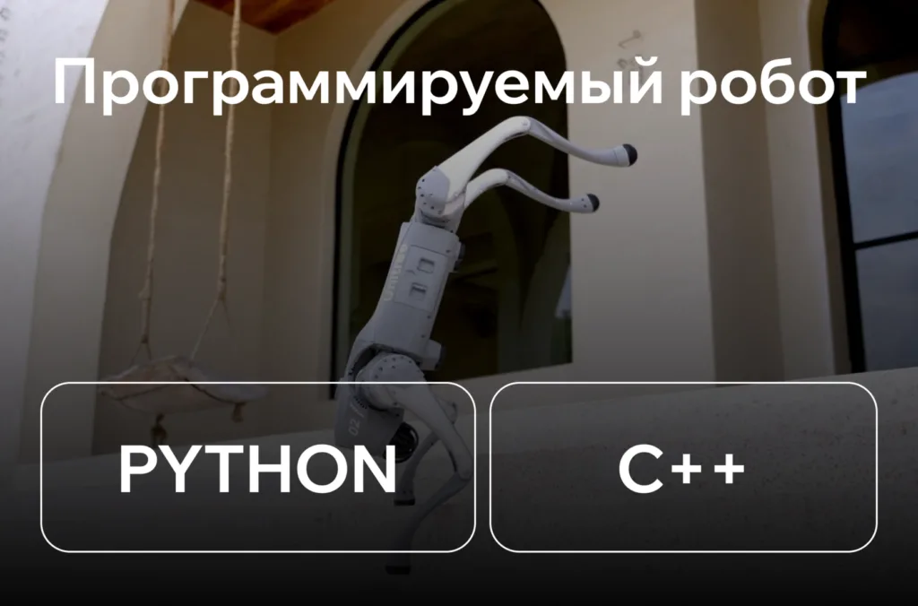 Unitree Go2 EDU — Робот Собака — фото 5